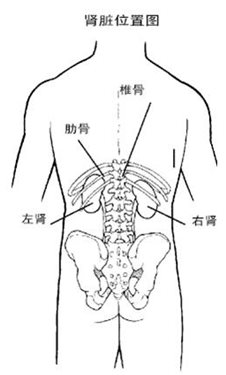 &#30343;&#20896;