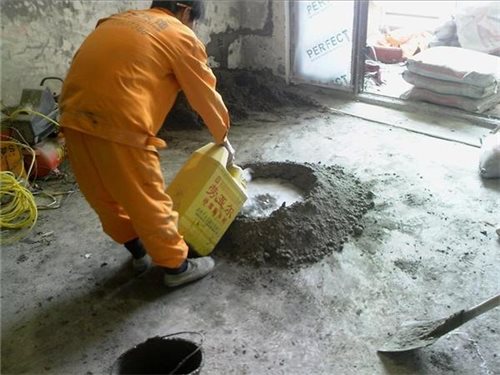 &#30343;&#20896;